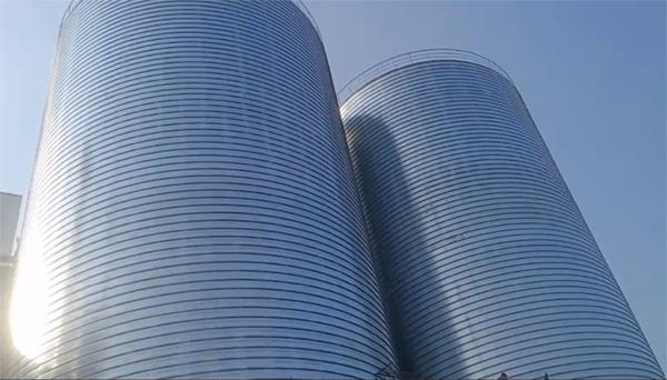 阳曲2座混凝土高架卷板仓